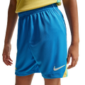Nike Dri-FIT Stadium Shorts - Nike Blue/Green