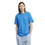 Blue Bird/White