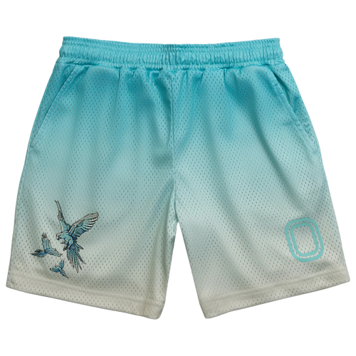  - Overtime Summer Mesh Shorts - Blue/White