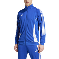 Team Royal Blue/White