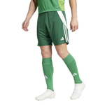 Team Dark Green/White