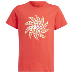 Boys' Grade School - adidas Farm Graphic T-Shirt - Chalk White/Tomato