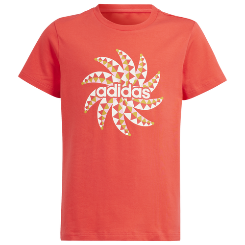 Shop Adidas Originals Boys Adidas Farm Graphic T-shirt In Chalk White/tomato