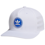 Blue/White