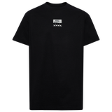 Black/Photon Dust