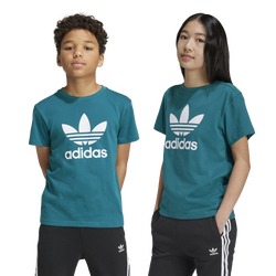 Girls' Grade School - adidas Originals Adicolor Trefoil T-Shirt - Legacy Teal