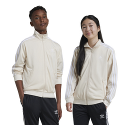 Boys' Grade School - adidas Originals adicolor Firebird Lifestyle Track Top - Wonder White