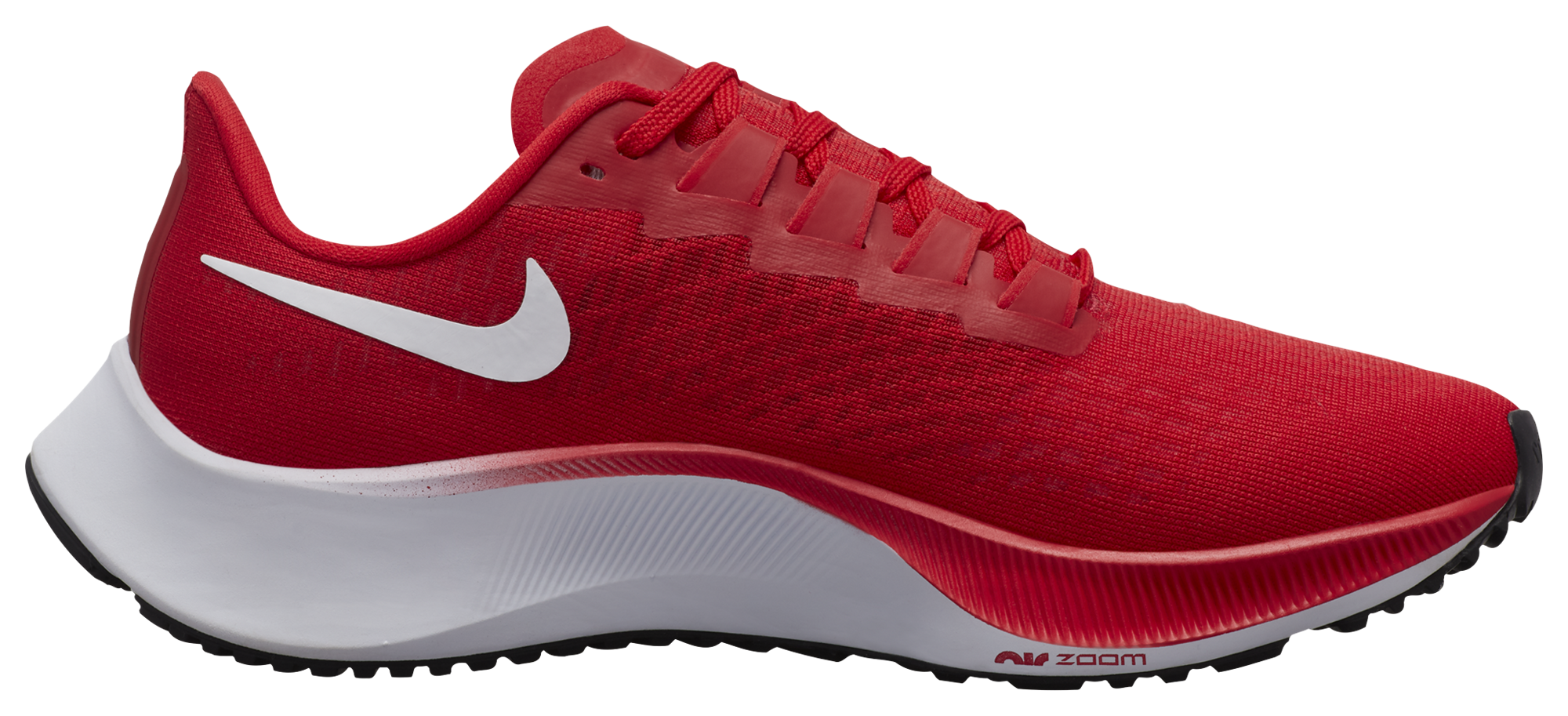 eastbay nike pegasus