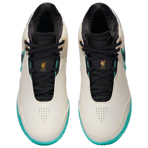 Nike Zoom LeBron NXXT Gen Amped