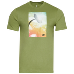 Green/Green