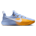 Nike Lebron TR 1 - Nike Aluminum/Univ Gold White