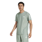 Silver Green