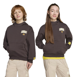 Boys' Grade School - adidas Originals The Simpsons Hoodie - Night Brown