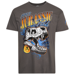 Men's - Graphic Tees Jurassic Park Racer T-Shirt - Charcoal/Multi