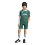 White/Collegiate Green