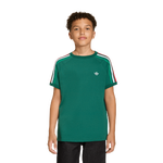 Team Dark Green/White