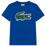 Blue/Green