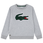 Grey/Green