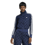 Night Indigo/Night Indigo