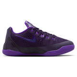 Sanded Purple/Purple Dynasty/Fierce Purple