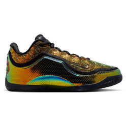 Boys' Grade School - Nike LeBron XXIII - Multi/Black