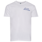 White/Blue
