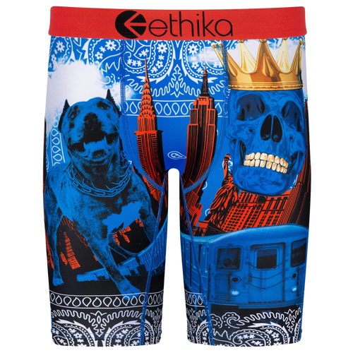 

Ethika Mens Ethika Graphic Briefs - Mens Black/Blue Size L
