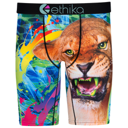 Men's - Ethika Graphic Briefs - Green/Blue
