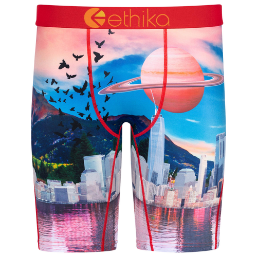 

Ethika Mens Ethika Graphic Briefs - Mens Blue/Orange Size M