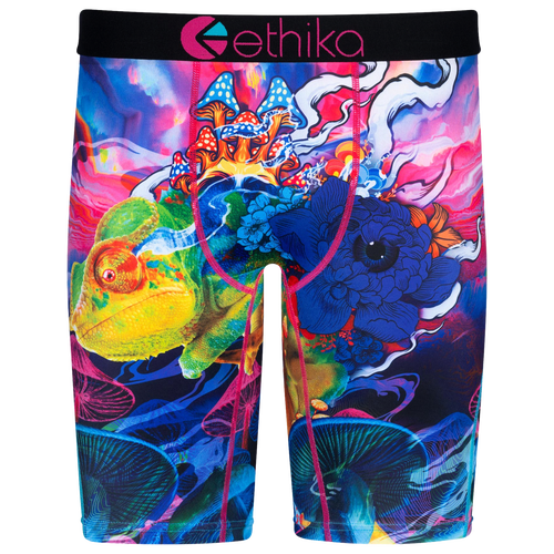 

Ethika Mens Ethika Graphic Briefs - Mens Blue/Purple Size XL