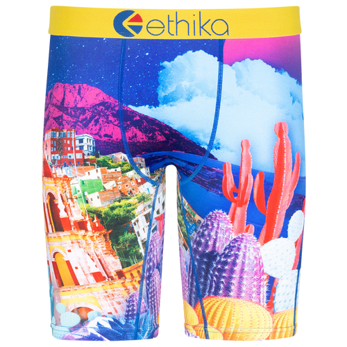 

Ethika Mens Ethika Graphic Briefs - Mens Blue/Purple Size M