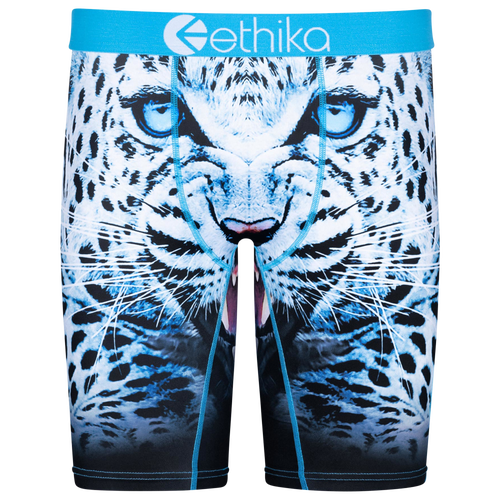 

Ethika Mens Ethika Graphic Briefs - Mens White/Blue Size XXL
