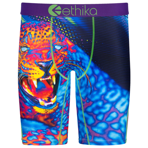 

Ethika Mens Ethika Graphic Briefs - Mens Purple/Blue/Green Size L