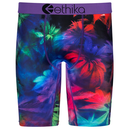 

Ethika Mens Ethika Graphic Briefs - Mens Purple/Green Size XXL