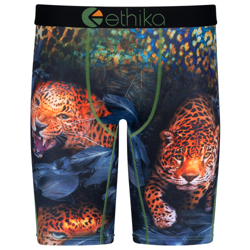 

Ethika Mens Ethika Graphic Briefs - Mens Green/Green Size XXL