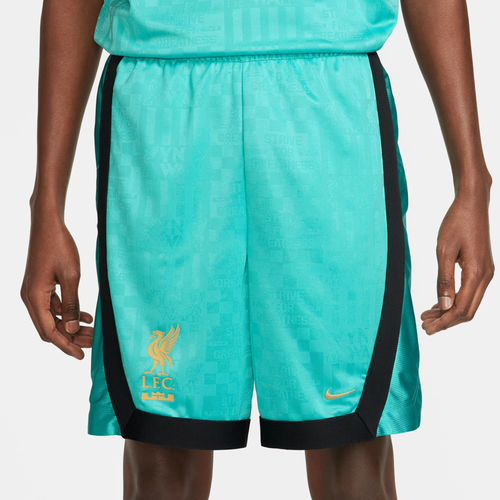 

Nike Mens Nike LeBron Dri-FIT DNA 8" Shorts - Mens Washed Teal/Truly Gold Size M