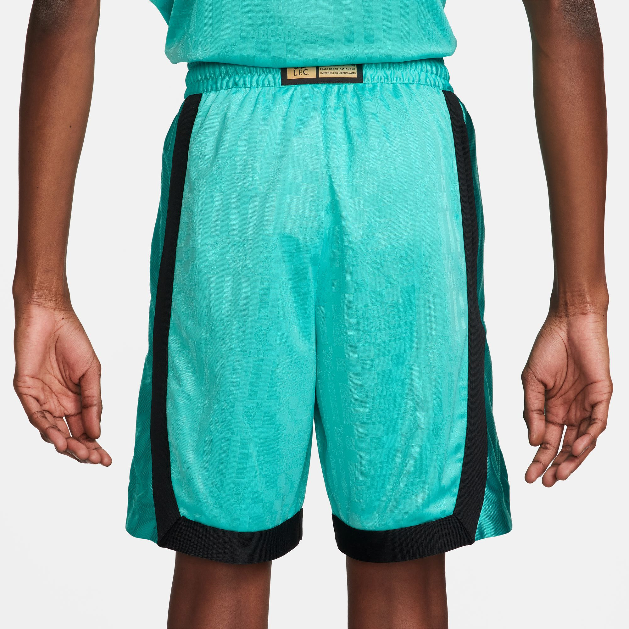 Nike LeBron Dri-FIT DNA 8 Shorts