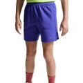 Nike DriFit Stride Short - Nike Reflective Silver/Lapis