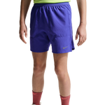 Reflective Silver/Lapis