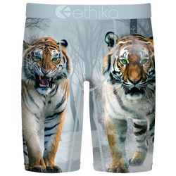 Boys' Grade School - Ethika The Tundra - Grey