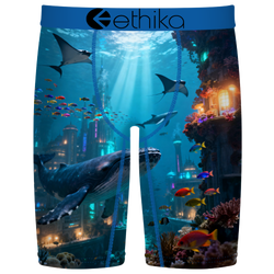 Boys' Grade School - Ethika Graphic Briefs - Blue/Black