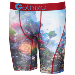 Boys' Grade School - Ethika Graphic Briefs - Blue/Red