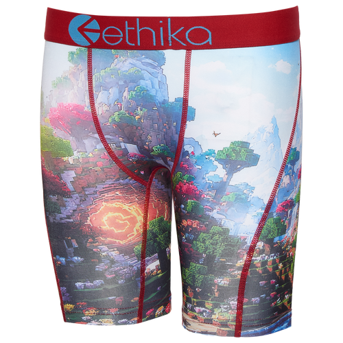 Ethika Boys' Block Bound Boxer Briefs, Large, Assorted