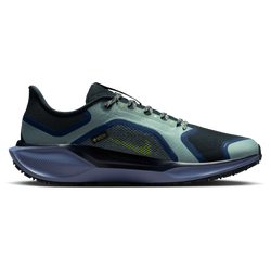 Men's - Nike Air ZOOM Pegasus 41 GTX - Cannon/Volt/Obsidian