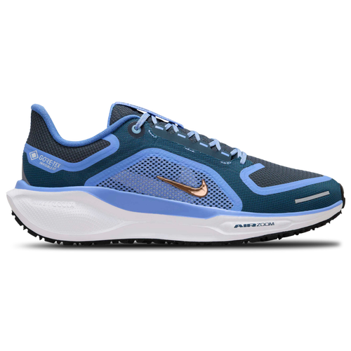 Nike Womens  Air Zoom Pegasus 41 Gtx In Blue