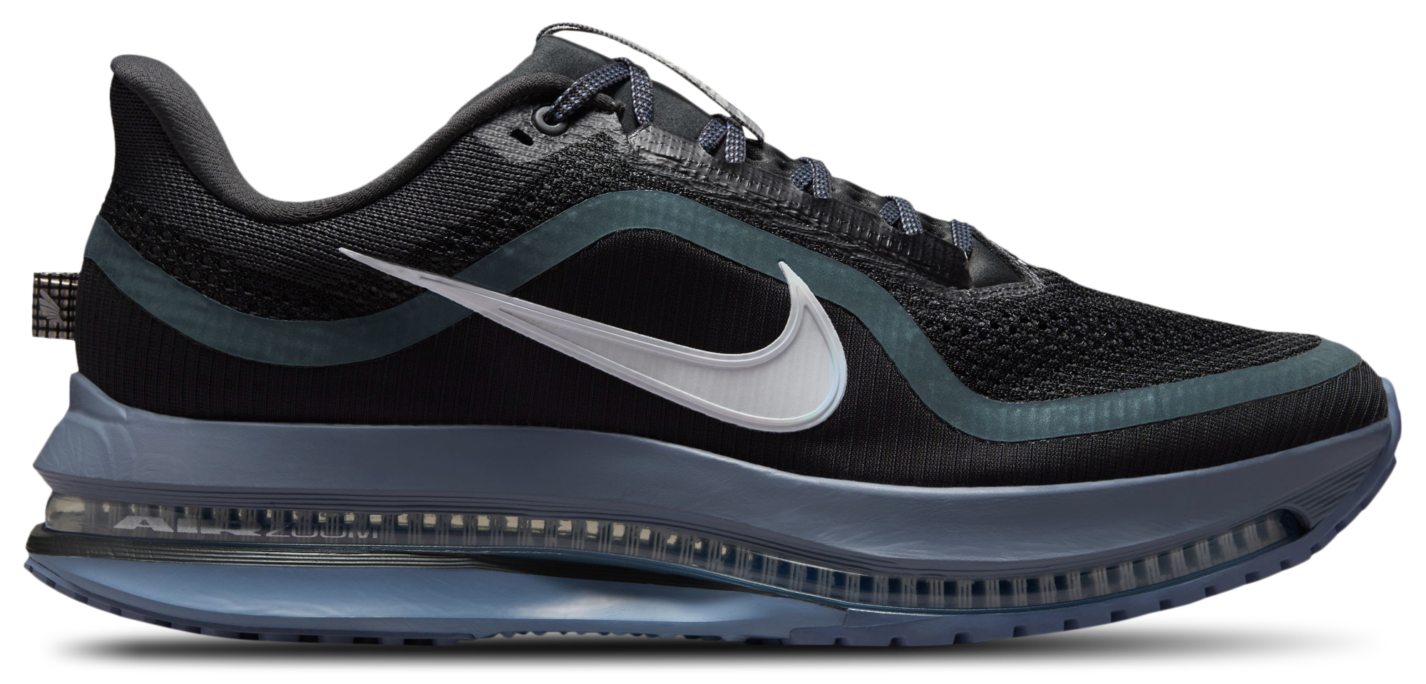 Nike Pegasus Premium | Foot Locker