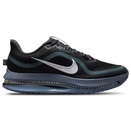 Nike Pegasus Premium - Men's