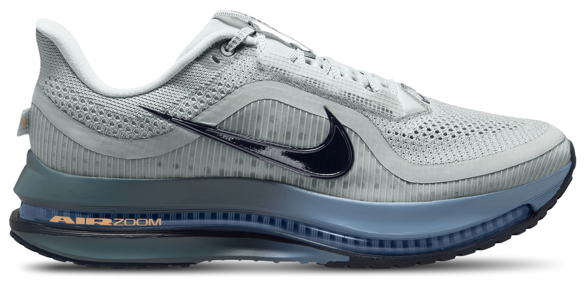Nike Pegasus Premium - Men's | Foot Locker