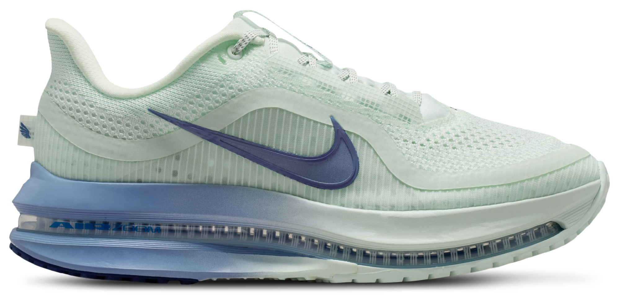 Nike Pegasus Premium - Women's