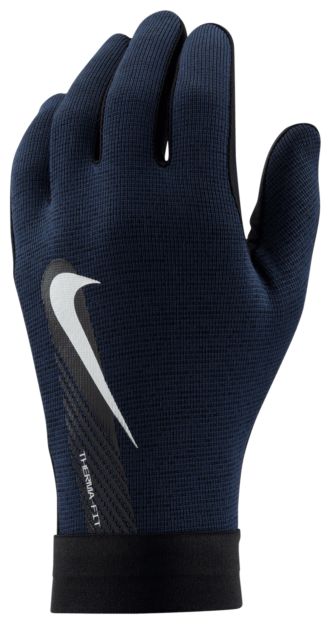 Nike Academy Therafit Players Gloves